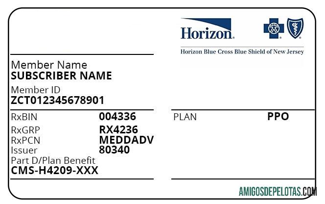 Cartão de seguro saúde de Nova Jersey modelo